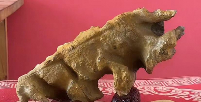 靈璧石的種類(lèi)七類(lèi)